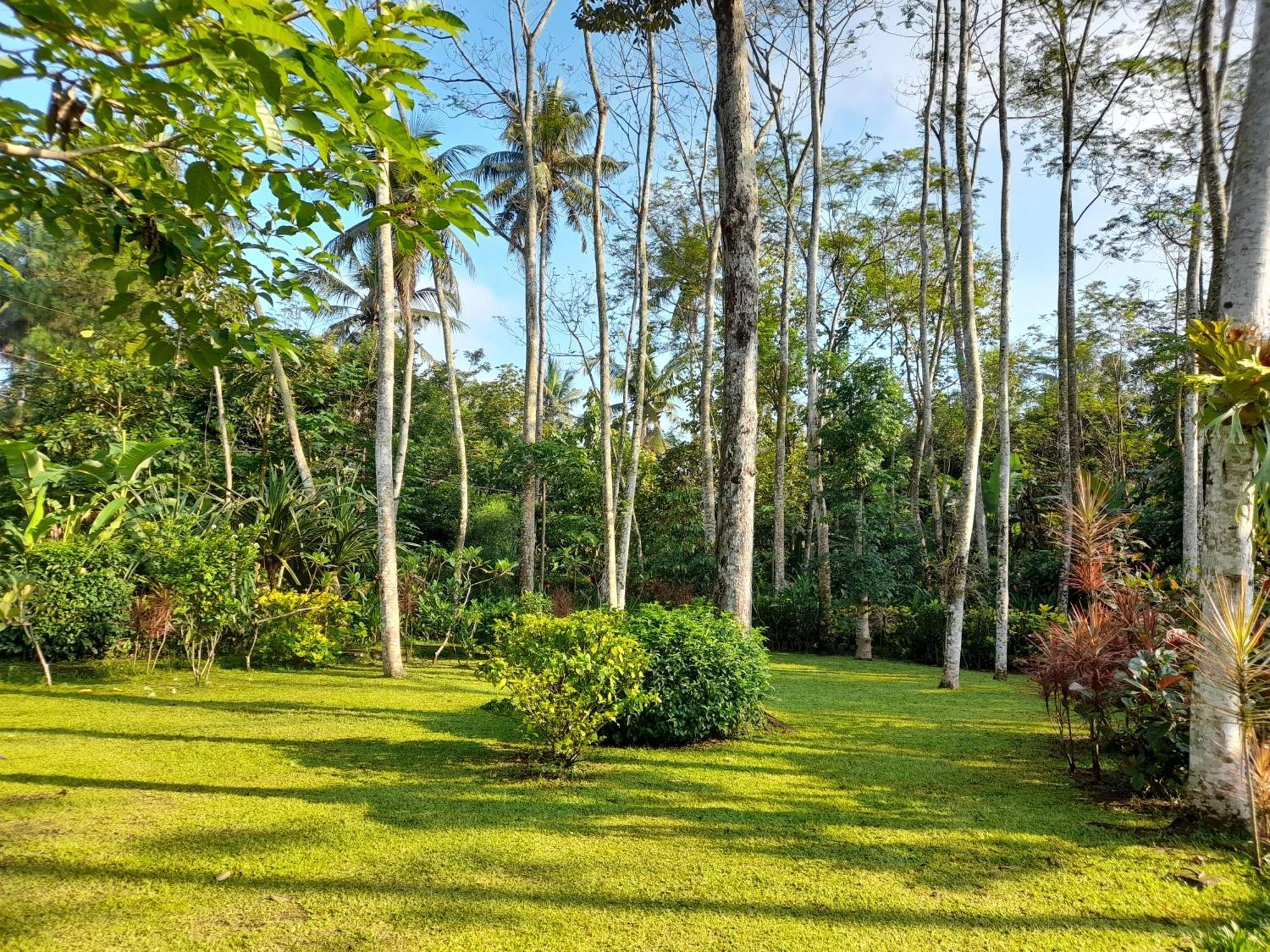 Ndalem Nitihardjan Hotel มาเกอลัง ภายนอก รูปภาพ